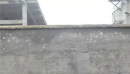 無法無天！紅獅水泥暴力阻撓取證