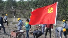 寧波海螺水泥公司黨員突擊隊(duì) “造綠色廠區(qū)，建美麗企業(yè)”