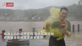 霸王級臺風(fēng)席卷多省份!近1000家水泥銷售受影響！  