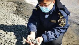 順利通關(guān)！4萬多噸韓國熟料進(jìn)入中國！