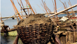 年耗500億噸，沙子快不夠人類使用了！