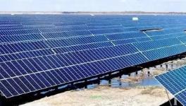 跨界投資！有關(guān)海螺、塔牌、紅獅等水泥集團(tuán)！