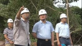 南方水泥上半年?duì)I收3.65億元！新項(xiàng)目推進(jìn)中！