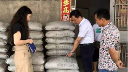 市場(chǎng)上這7個(gè)主要水泥品牌被質(zhì)量抽檢！