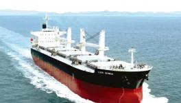 海螺下屬企業(yè)與船東簽單，總計3億元！