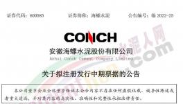 海螺水泥擬發(fā)行不超100億票據(jù)！