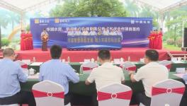 ?總投資額4775萬(wàn)元！華潤(rùn)水泥光伏項(xiàng)目開(kāi)工?！