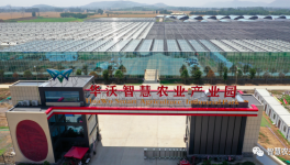 巧用水泥余熱，工業(yè)轉(zhuǎn)型反哺農(nóng)業(yè)！