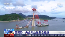 央視新聞報(bào)道：中國建材專業(yè)化整合成效經(jīng)驗(yàn)交流！