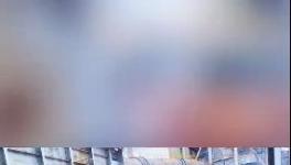 殺公雞！開窯！水泥廠“辟邪”！