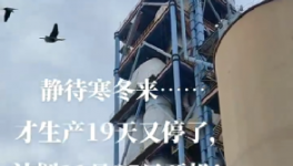 全停！最長200天！20個省水泥廠停產(chǎn)！