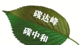縫出匠心！這家環(huán)保企業(yè)脫穎而出！市場(chǎng)占有率名列前茅！
