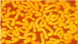 對(duì)比明顯，這個(gè)材料完勝！最長(zhǎng)可用8年，節(jié)約電費(fèi)百萬(wàn)！