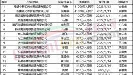 瘋狂！“上下”通吃！海螺連續(xù)成立50多家公司！