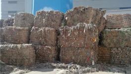 創(chuàng)收40萬/天！替代燃料降本火了！