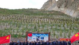 昌都高爭開展“黨旗飄，礦山綠”主題活動