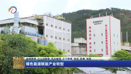 海螺水泥兩家工廠同一天都上電視啦！